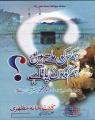 Hum kis ko miltay hain